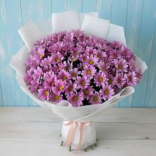 Букет цветов из:  Хризантемы в Марьяновке
