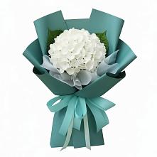 Букет цветов из:  Гортензия в Марьяновке